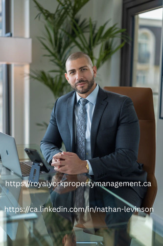 httpsca.linkedin.cominnathan levinson.jpg