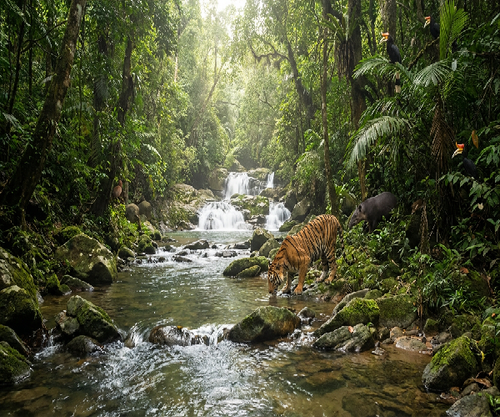 Endau Rompin National Park, Johor & Pahang.png
