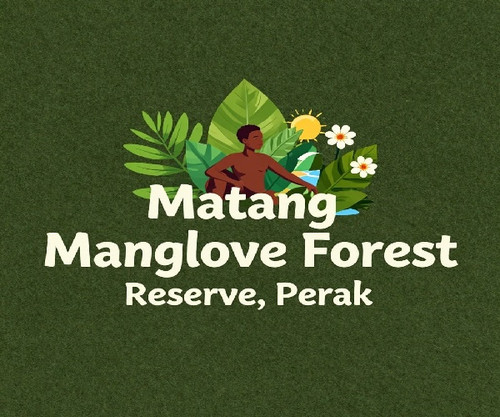 Matang Mangrove Forest Reserve, Perak.jpg