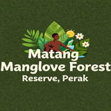 Matang Mangrove Forest Reserve, Perak