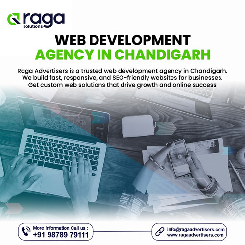 Web Development Agency in Chandigarh.jpg