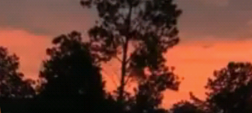 imagen.2