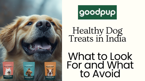Healthy Dog Treats in India What to Look For and What to Avoid.png