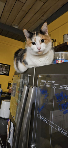 473258027 122171282036259829 7536635540915133035 n.jpg