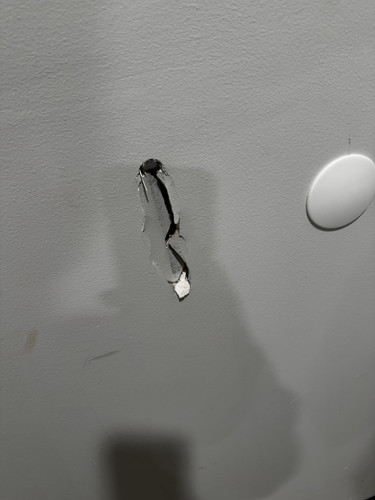 IMG 8627.jpg