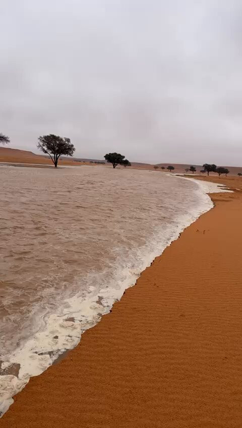 n0HOSgFRu kay3Qf.jpg