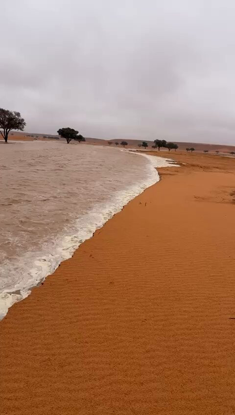 bQPg5zHq7pyGD6f .jpg