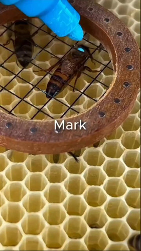 3IksxQ3fgmG pkvk.jpg