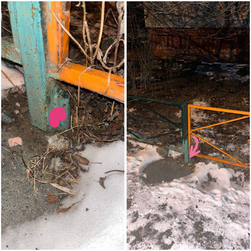 51F3491F 452C 41DE B9C1 503A0E97E48E.jpg