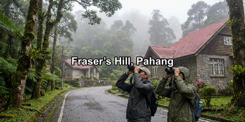 Fraser’s Hill, Pahang.png