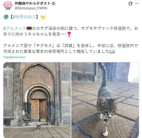 tD73ENschTWrBSSj57amUp PQLQduhetWiZM3nKE1iX9YwF4nrZ1yMVhkWghN 5rQDoqEkLid3 PomSrDD6uAo6gjy7UhHfko8SW.jpg