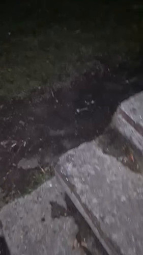 EXjK5thpDi pgJ Y.jpg