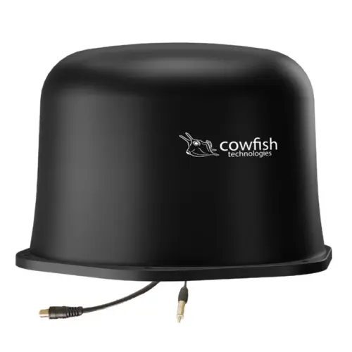 cowfishbottom 639x639.webp
