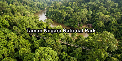 Taman negara.png