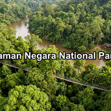 Taman negara