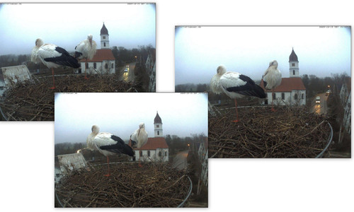 Bilder5.jpg