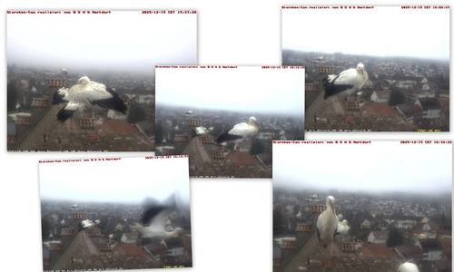 Bilder6.jpg