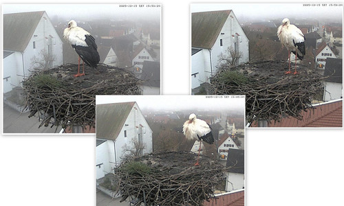 Bilder7.jpg