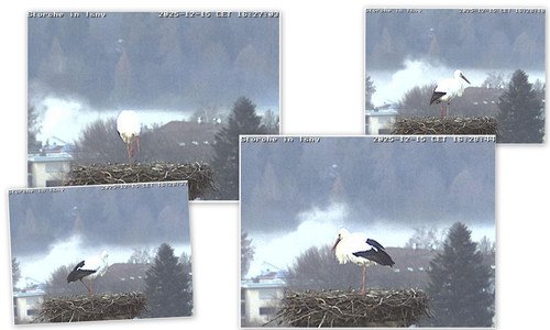 Bilder4.jpg