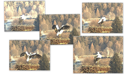 Bilder3.jpg