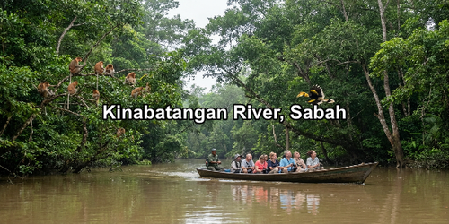 Kinabatangan River, Sabah.png
