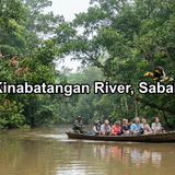 Kinabatangan River, Sabah
