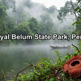 Royal Belum State Park, Perak
