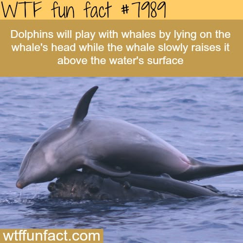 1000004637.jpg