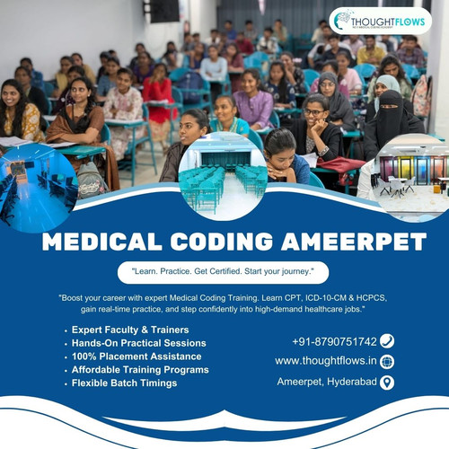 Looking for the Best Medical Coding in Ameerpet?.jpg