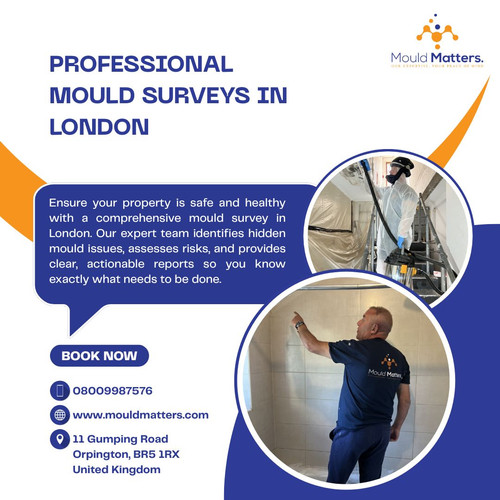 Comprehensive Mould Surveys for a Healthier Home in London.jpg