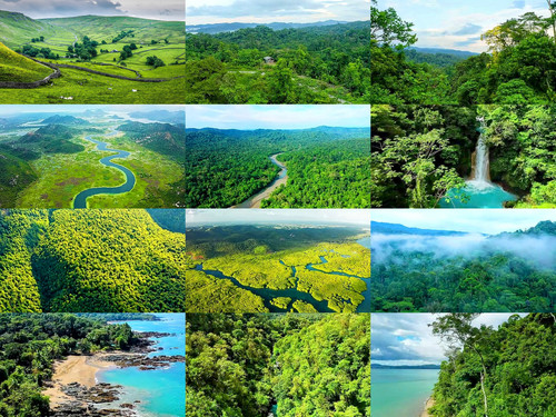 ' Glorified is  Allaah-God ,  The All-Mighty Creator  '.jpg