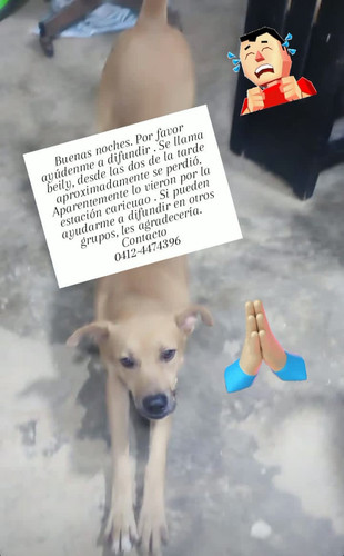 G8GJcHfW4AYj fp.jpg
