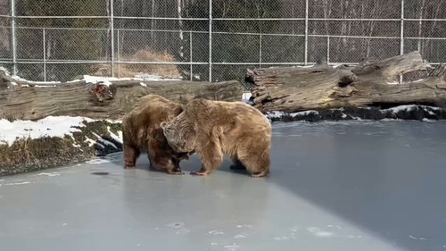 k71 Z0ky92OsWQDZ.jpg