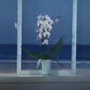 9d4c4d3729d9.png