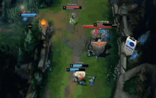 IMG 0447.gif