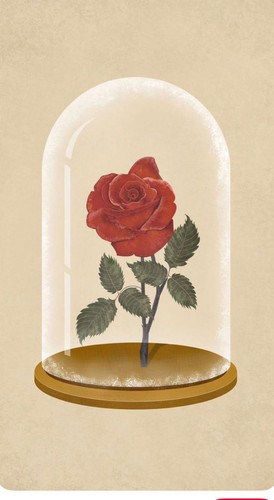 WhatsApp Image 2025 12 08 at 10.36.23 PM.jpg