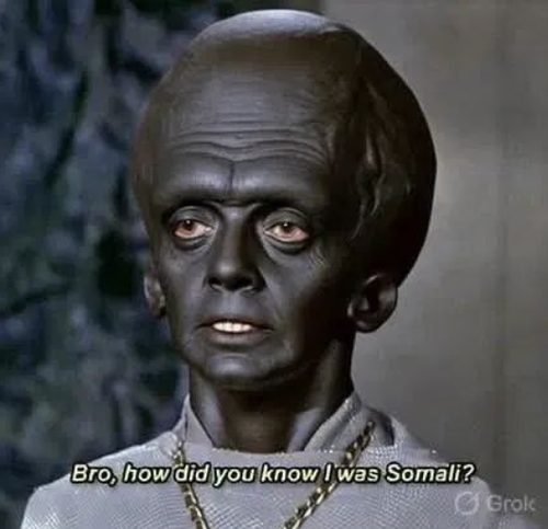 190395611369111b.png