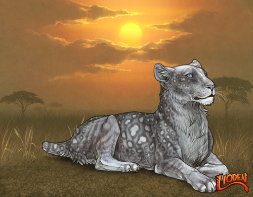 lion 794189827227.png