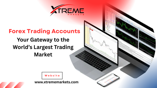 Forex Trading Accounts Your Gateway to the World’s Largest Trading Market.png