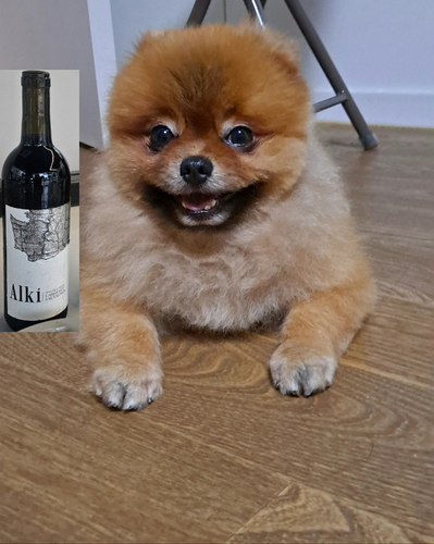 KakaoTalk 20251212 092226813 05.png