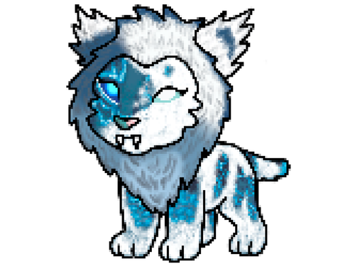 IMG 7820.png