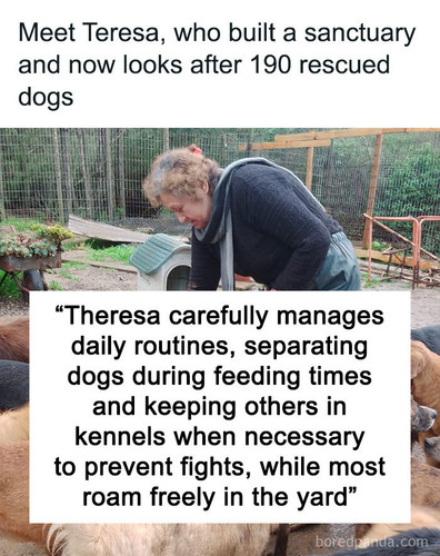 dog sanctuary teresa.jpg