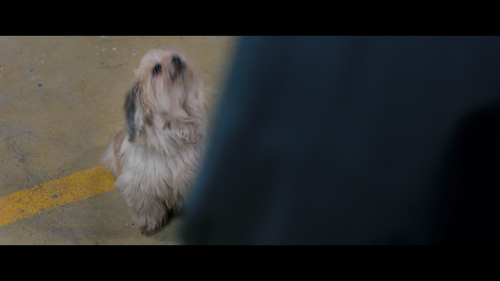 Cloud Atlas 2012 BluRay 1080p AVC DTS HD MA5.1 MTeam 20251216 020624.431.png