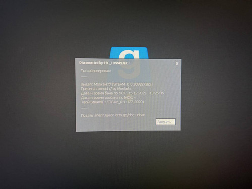 photo 5332717178555405098 y