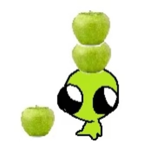 x355mj.jpg
