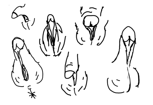 cae21cb3 8c0b 45e8 9883 04d953d887bc