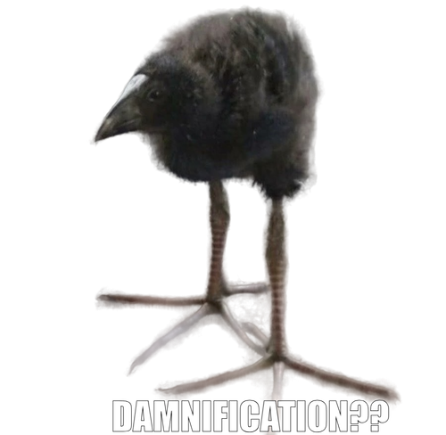 meme.png
