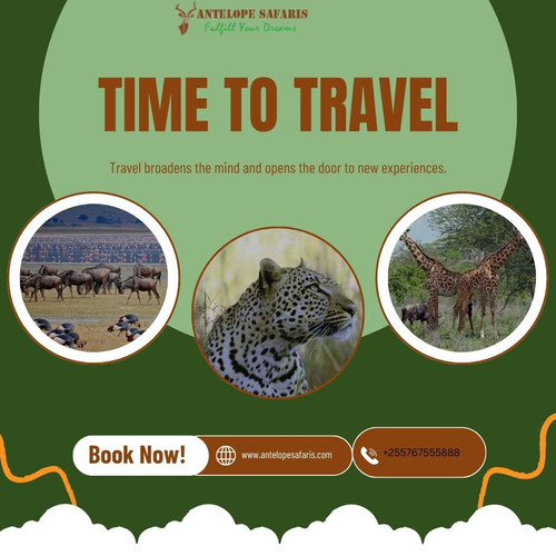 antelopesafaris.jpg