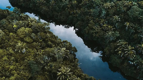 577039315 25317659011216648 4480914742090807613 n.jpg?stp=dst jpg s960x960 tt6& nc cat=110&ccb=1 7& .jpg