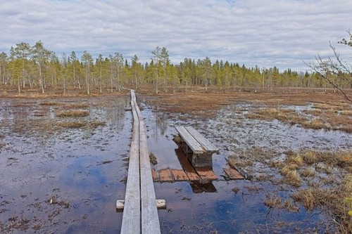 photo 2025 12 13 13 33 24.jpg